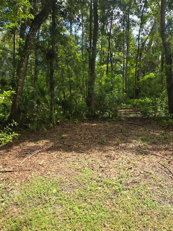 19995 Manecke Road Brooksville, FL 34601 - Photo 22 of 25 Gallery Image 22