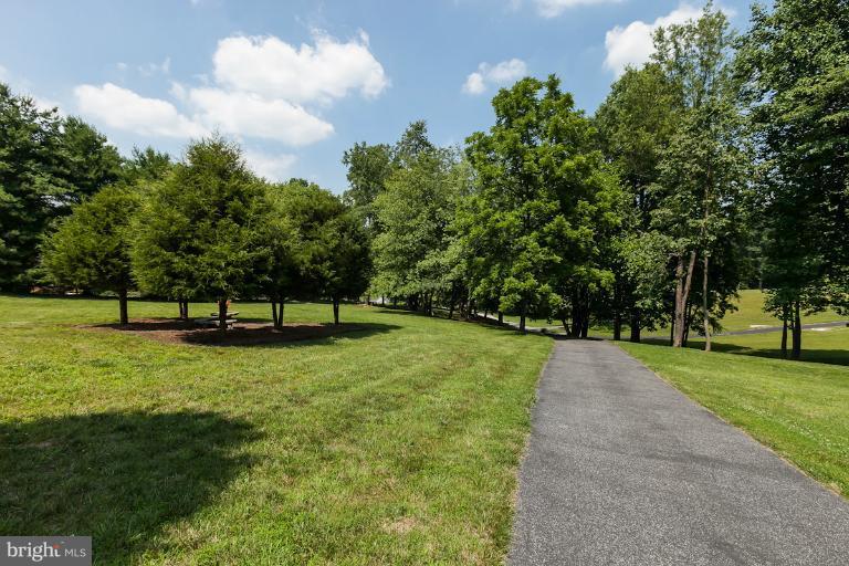 13763 Bottom Road Hydes, MD 21082 - Photo 18 of 30 Beautiful Landscaped!