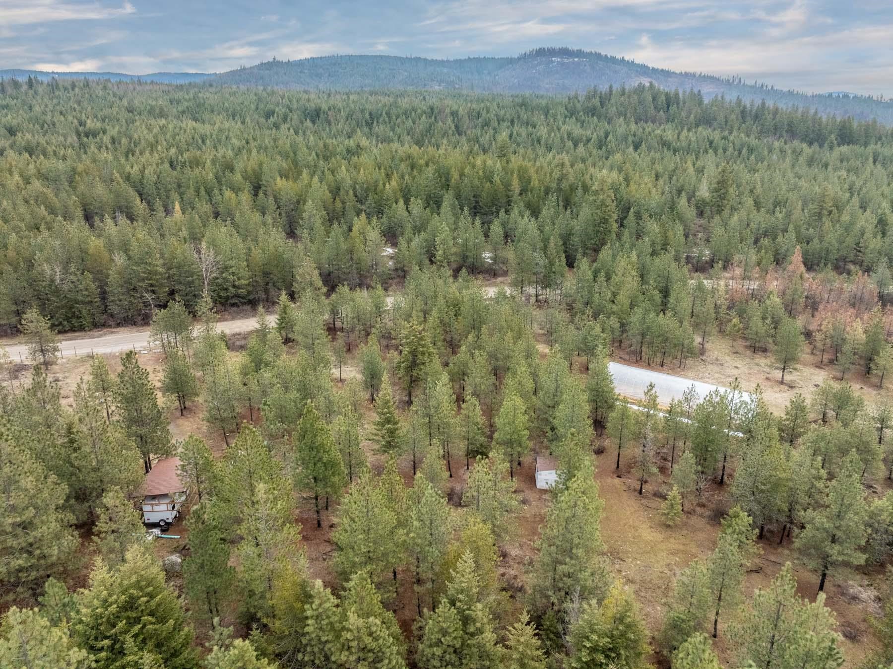 721 Thompson Road Elk, WA 99009 - Photo 5 of 15 Gallery Image 5