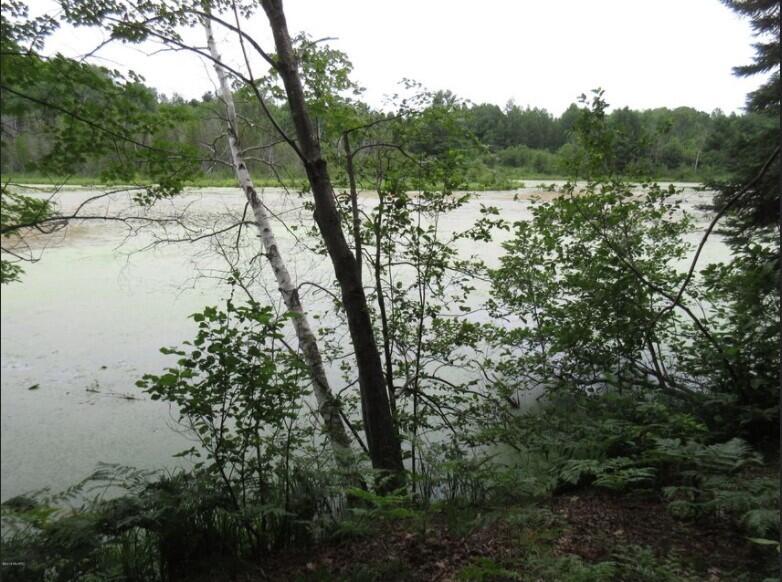 0 West Knapp Road Reed City, MI 49677 - Photo 1 of 1 0 Knapp Rd.