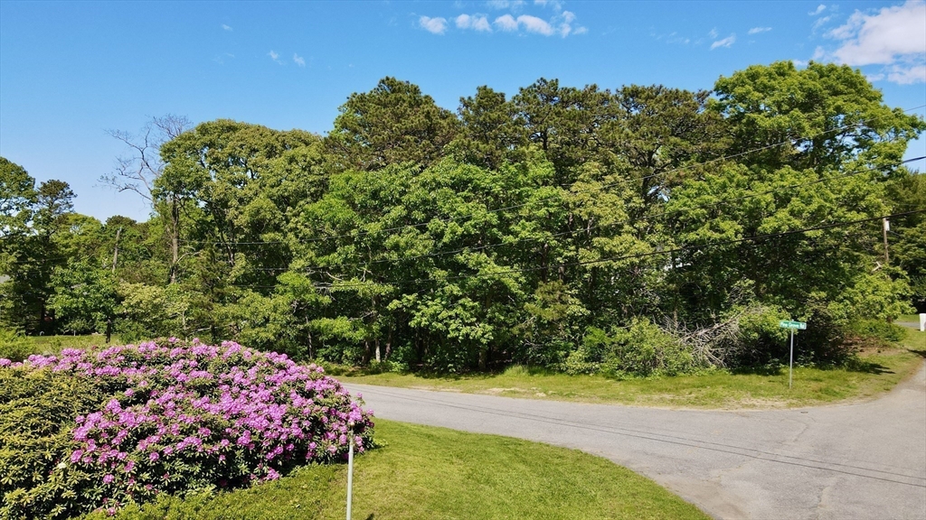 8 Pine Grove Road Brewster, MA 02631 - Photo 2 of 13