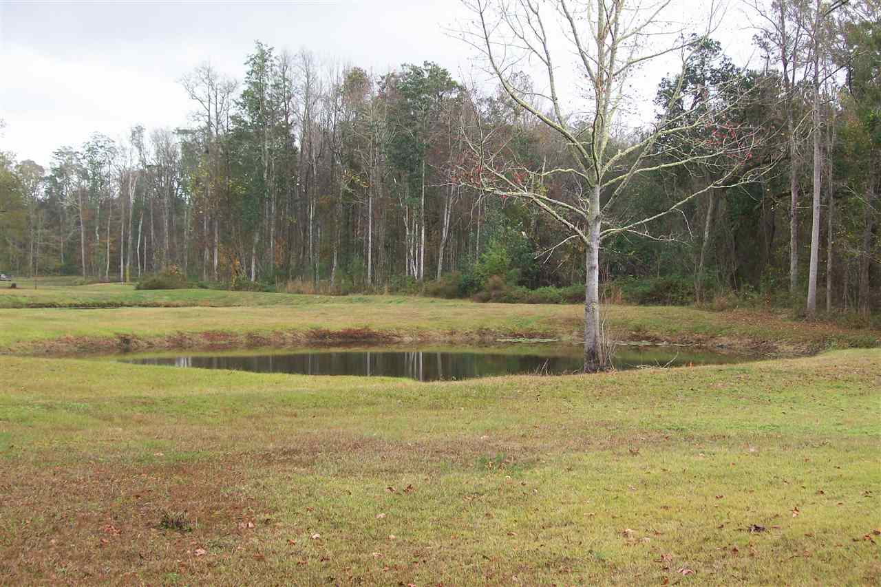 1081 Curtis Mills Road Monticello, FL 32344 - Photo 3 of 12 Gallery Image 3