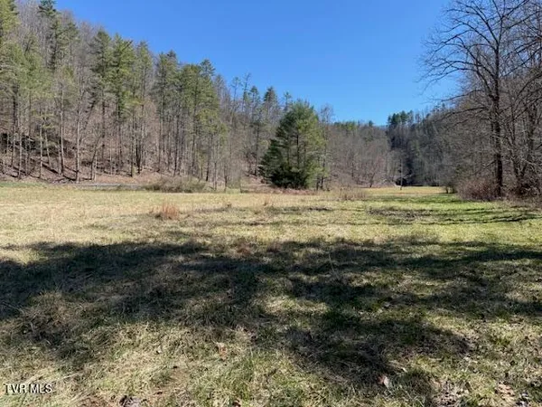 $225,000 | Tbd Willis Cove Road, Erwin, TN 37650