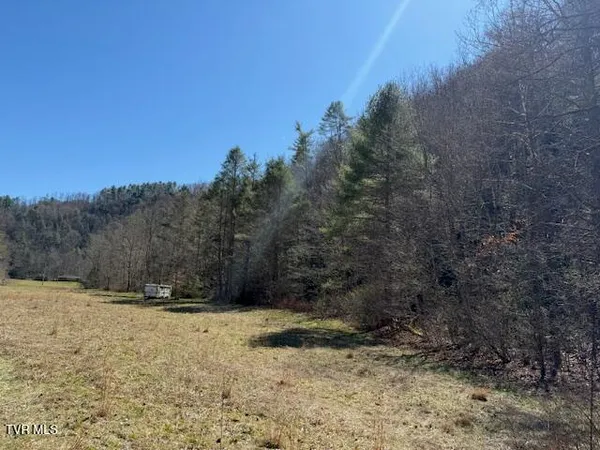 $225,000 | Tbd Willis Cove Road, Erwin, TN 37650