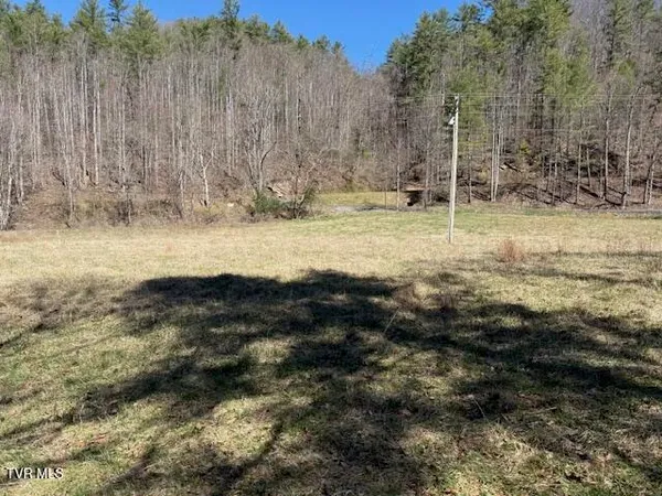 $225,000 | Tbd Willis Cove Road, Erwin, TN 37650