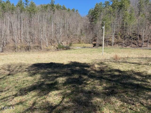 Tbd Willis Cove Road Erwin, TN 37650 - Photo 2 of 13 IMG_0948