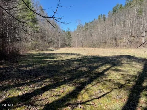 $225,000 | Tbd Willis Cove Road, Erwin, TN 37650