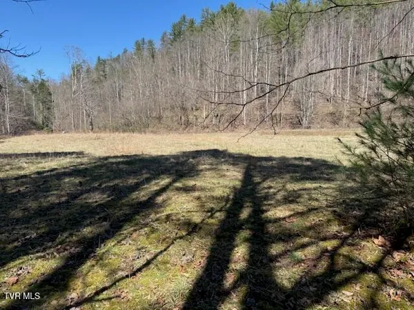 $225,000 | Tbd Willis Cove Road, Erwin, TN 37650