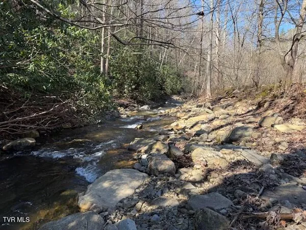 $225,000 | Tbd Willis Cove Road, Erwin, TN 37650