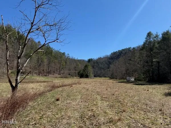 $225,000 | Tbd Willis Cove Road, Erwin, TN 37650