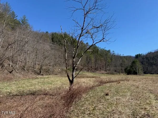$225,000 | Tbd Willis Cove Road, Erwin, TN 37650