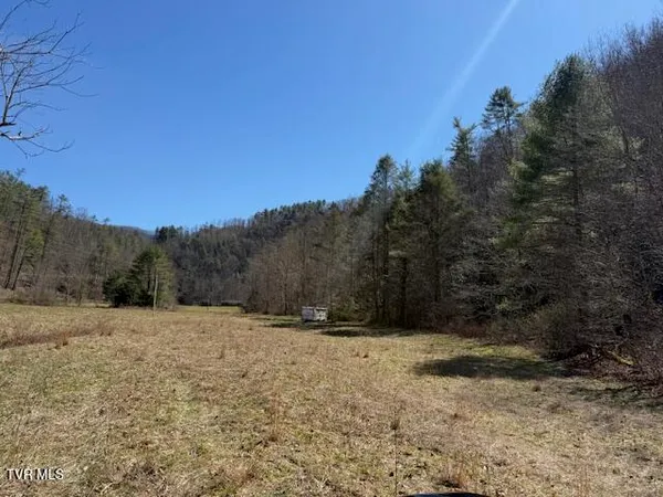$225,000 | Tbd Willis Cove Road, Erwin, TN 37650