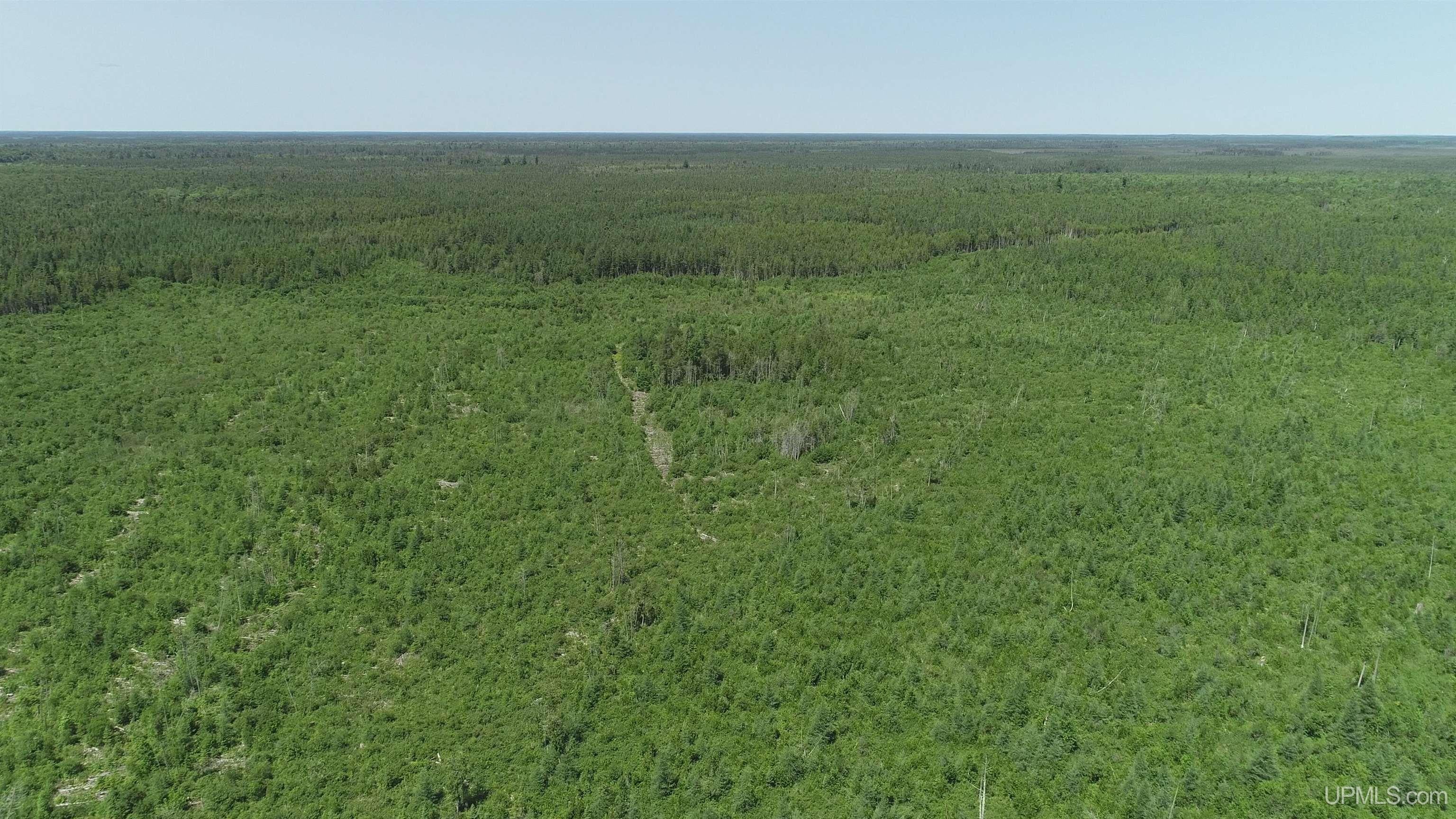 252-acres River Road Gulliver, MI 49840 - Photo 12 of 16 Gallery Image 12