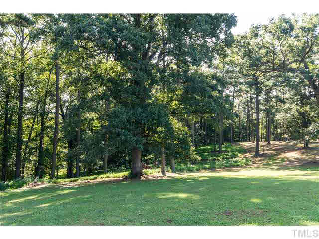 1112 Steel Bridge Road Clayton, NC 27520 - Photo 4 of 20 Gallery Image 4