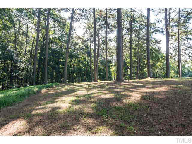 1112 Steel Bridge Road Clayton, NC 27520 - Photo 5 of 20 Gallery Image 5