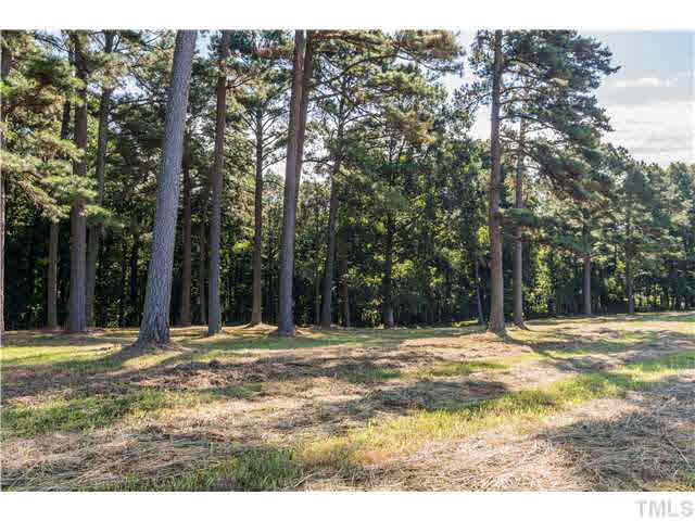 1112 Steel Bridge Road Clayton, NC 27520 - Photo 10 of 20 Gallery Image 10