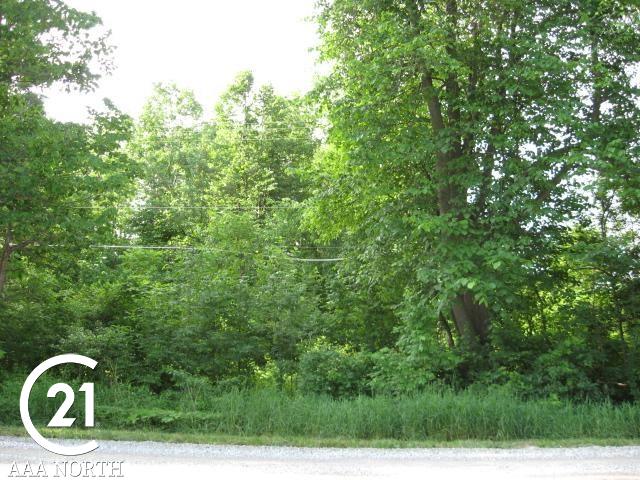 0 Hough Road Dryden, MI 48428 - Photo 3 of 6