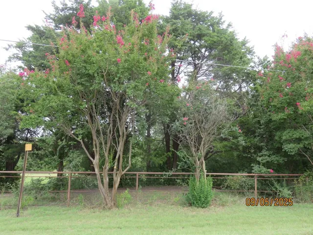 a view of backyard with green space