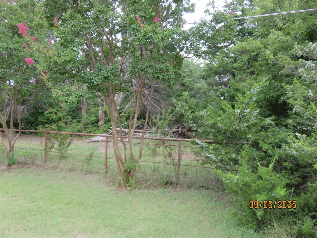 6 Highridge Farms Road Lowry Crossing, TX 75069 - Photo 15 of 19 a view of a lush green forest with lawn chairs