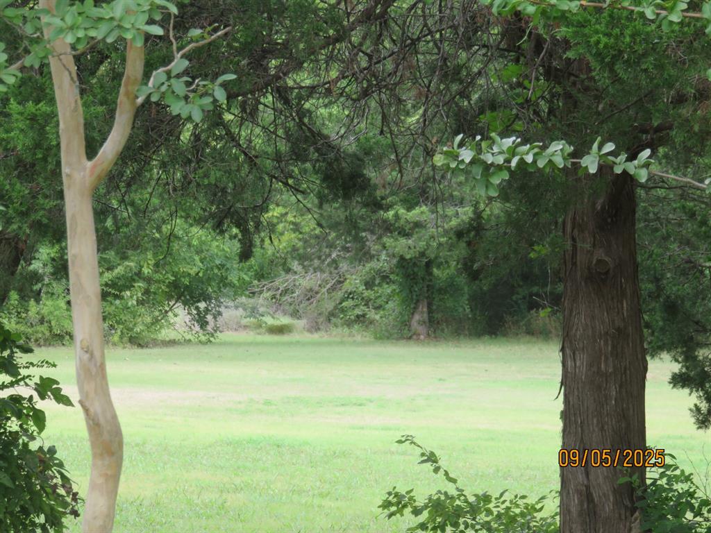 6 Highridge Farms Road Lowry Crossing, TX 75069 - Photo 2 of 19 a view of a field with a tree
