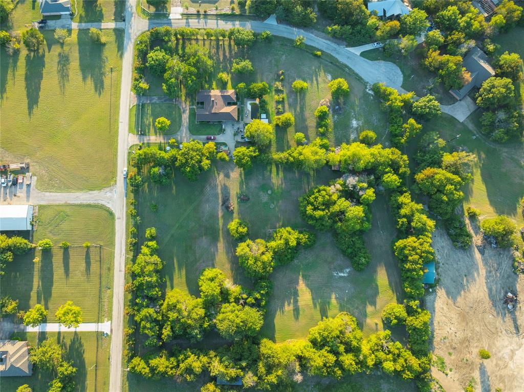 6 Highridge Farms Road Lowry Crossing, TX 75069 - Photo 6 of 19 a close up of a flower pot