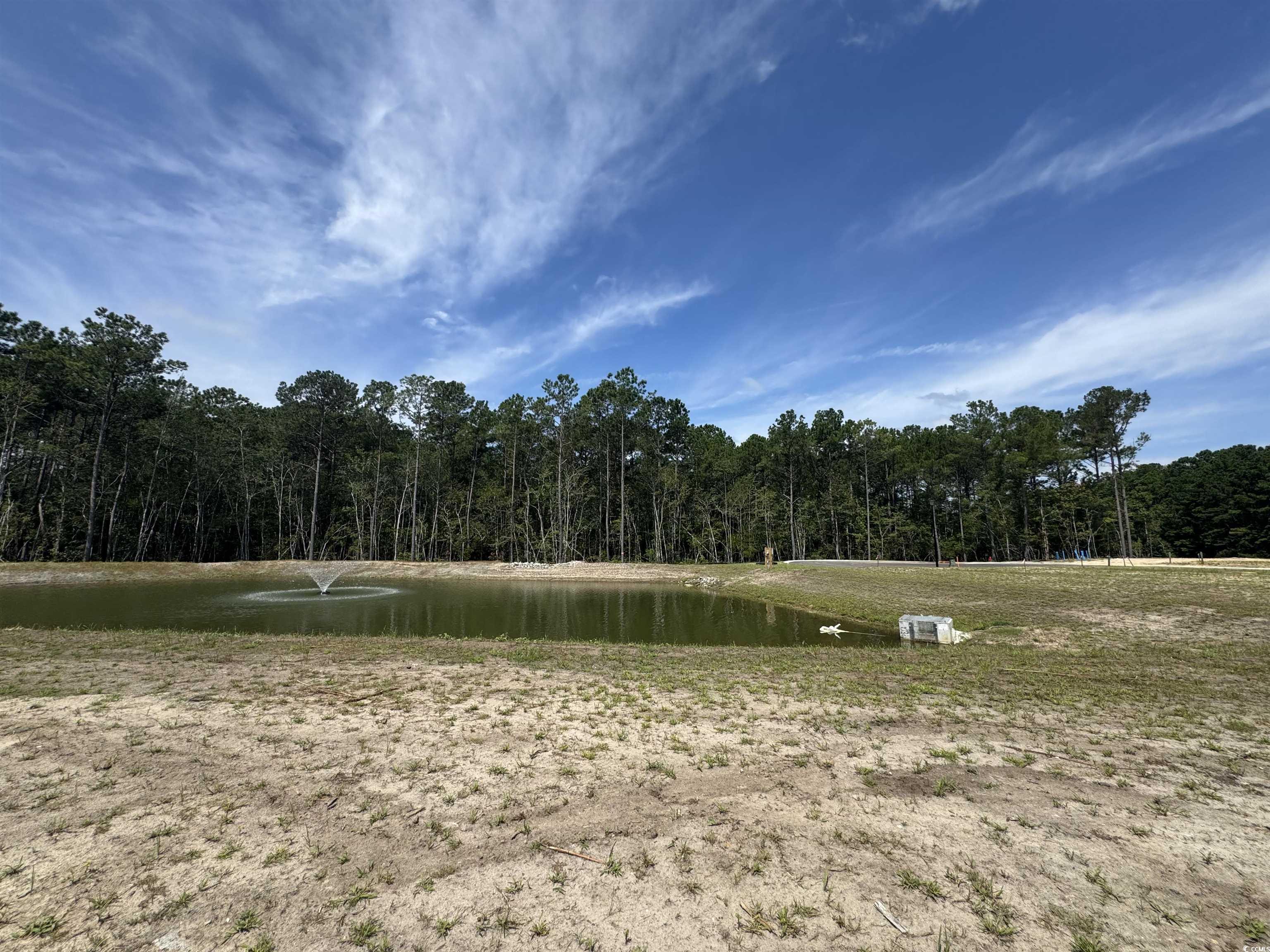 475 Ireland Way, Unit 804 Murrells Inlet, SC 29576 - Photo 13 of 15 View of property's community featuring a water view and a wooded view