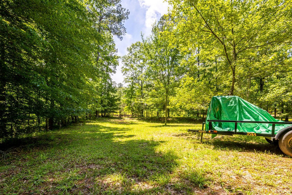 273 Timber Loop Midland, GA 31820 - Photo 23 of 49 Gallery Image 23