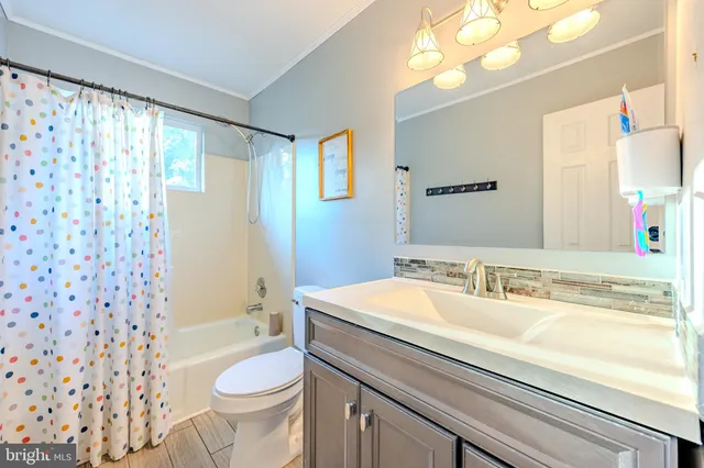 a bathroom with a sink a toilet and shower curtain
