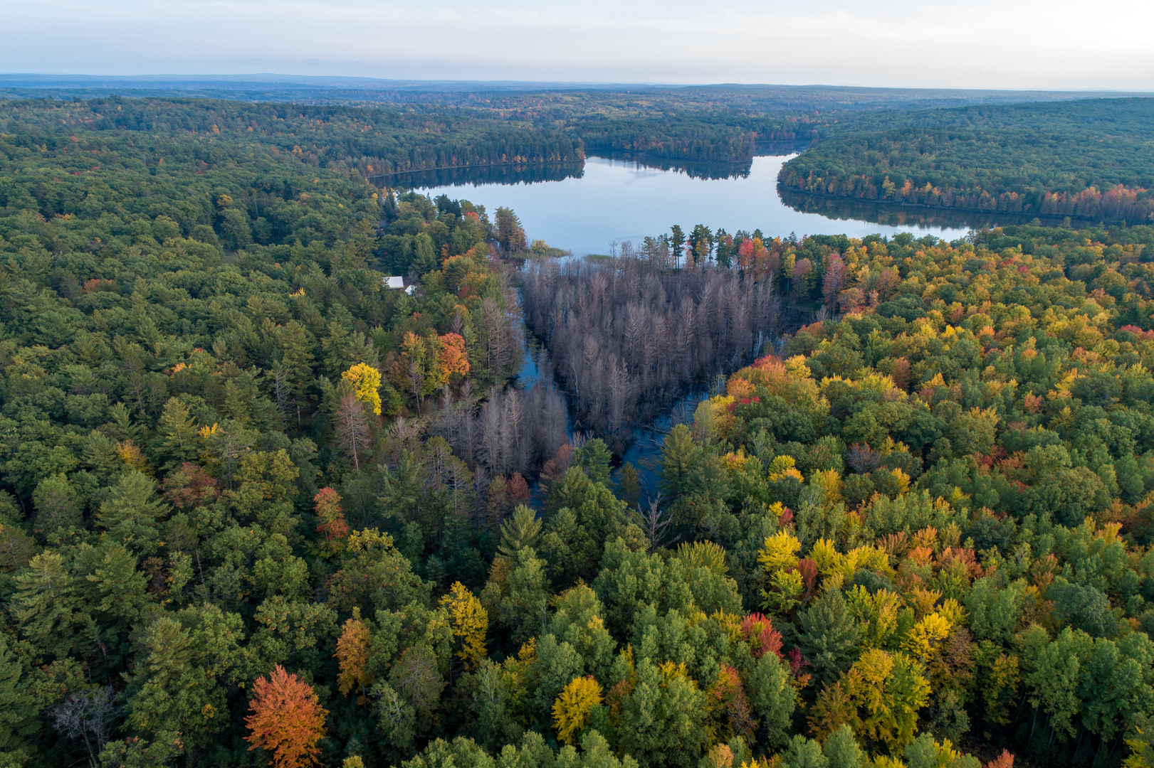 5021 Solomon Road Atlanta, MI 49709 - Photo 2 of 34 a view of a lake and a mountain view