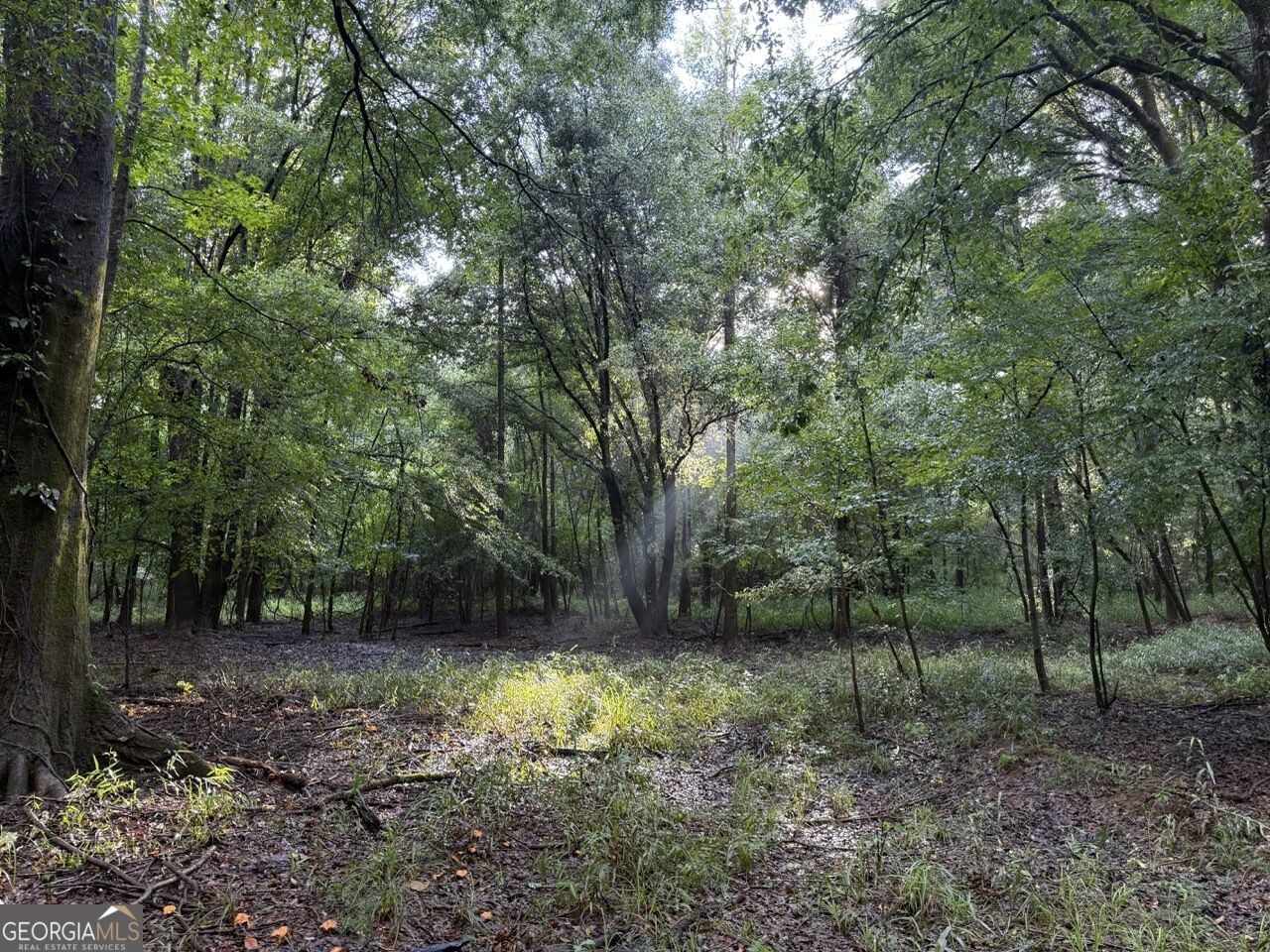 0 Chatham St Road Montezuma, GA 31063 - Photo 21 of 21 Gallery Image 21