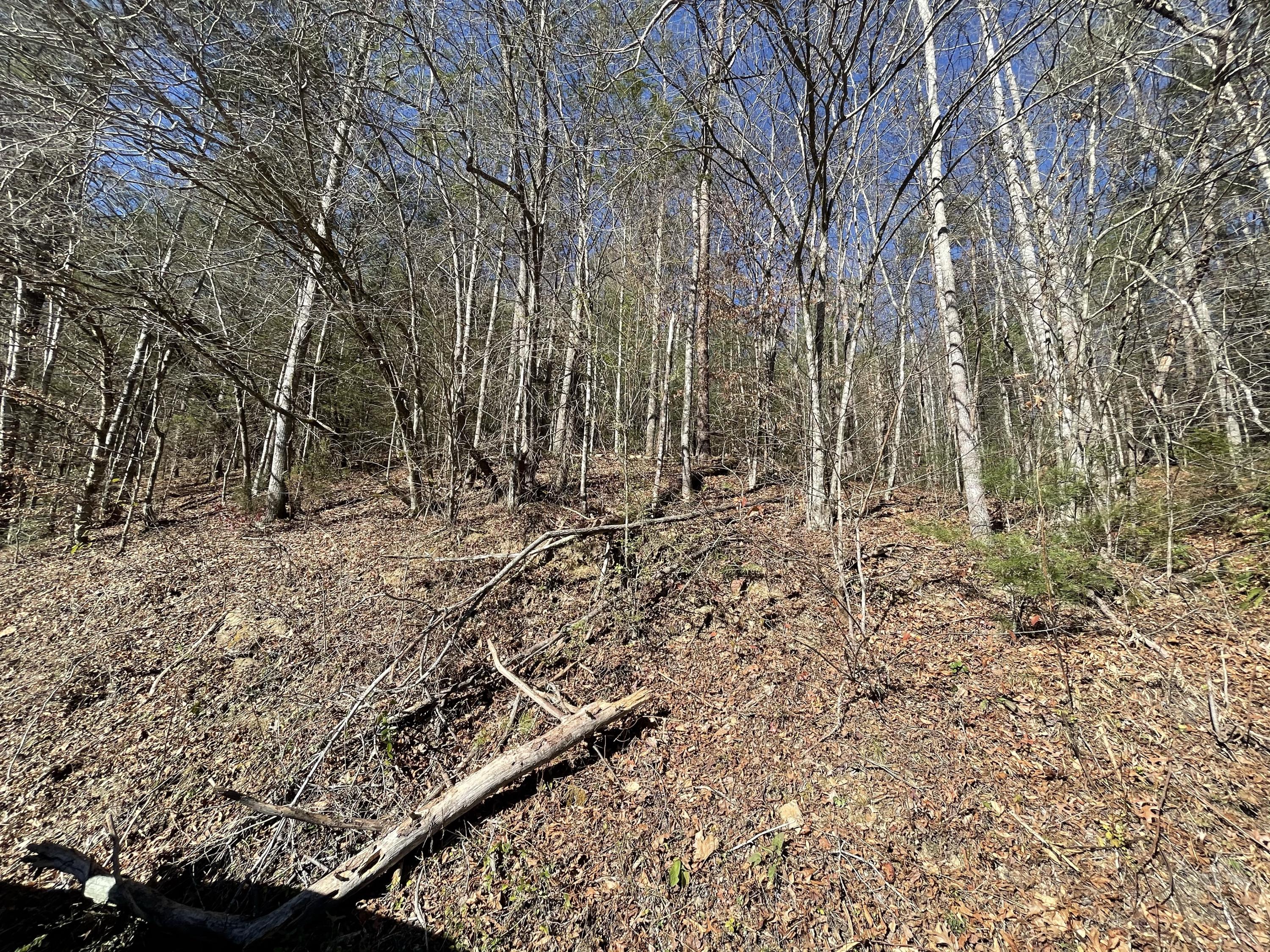0 Raven Branch Road, Unit 6 Del Rio, TN 37727 - Photo 1 of 1 Picture from the Road