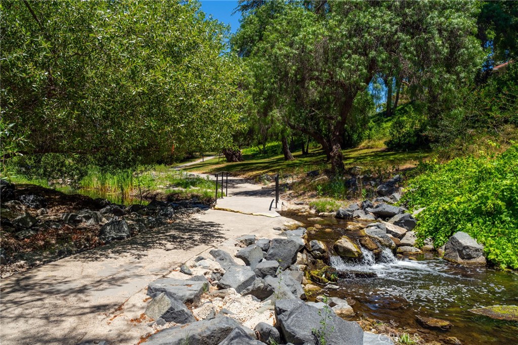 43 Calle Aragon, Unit C Laguna Woods, CA 92637 - Photo 32 of 41 a view of a forest with trees