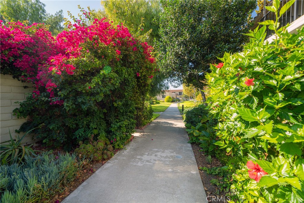 43 Calle Aragon, Unit C Laguna Woods, CA 92637 - Photo 5 of 41 a view of a pathway covered with flower plants