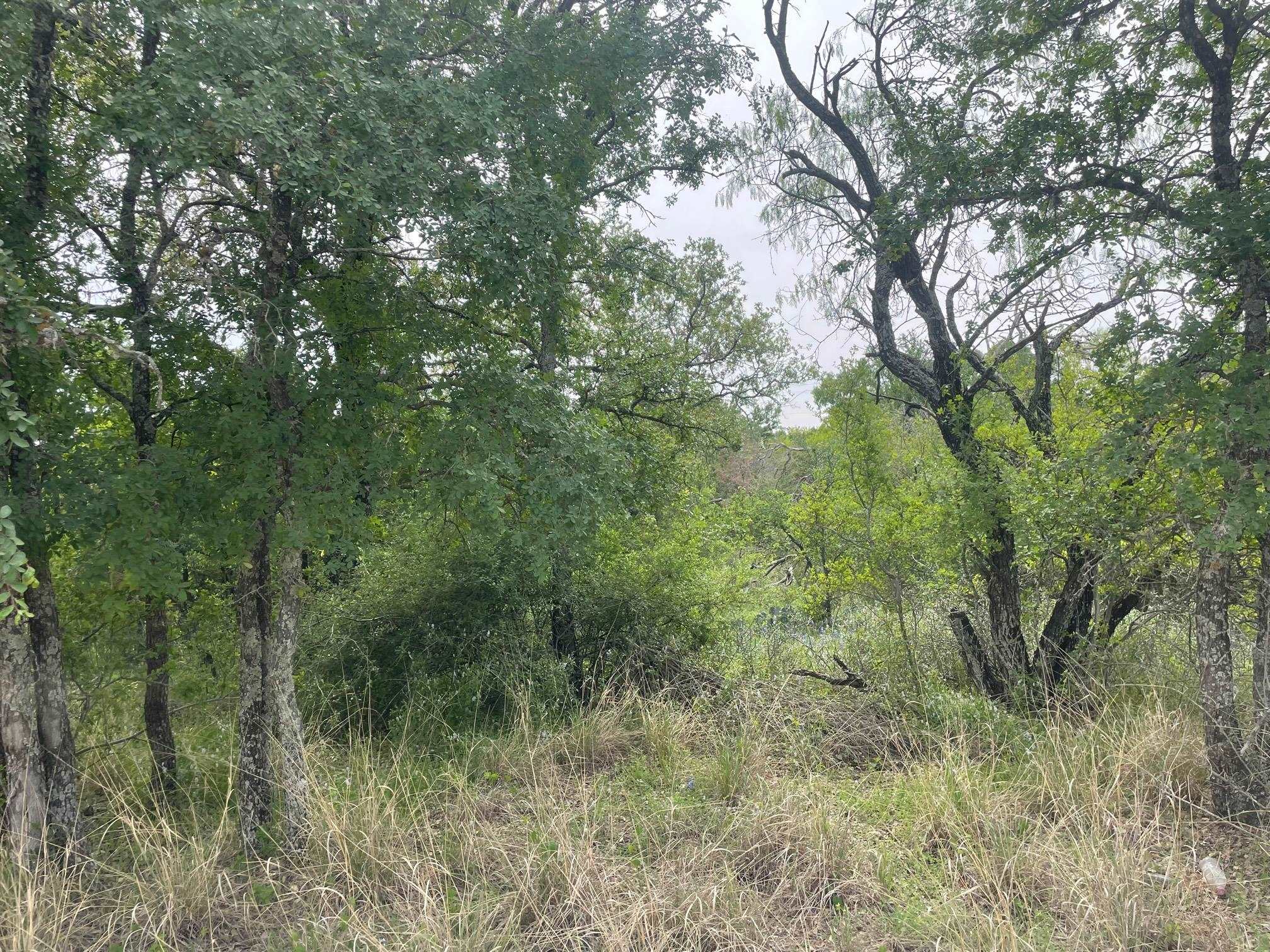 175-176 Hill Wood Granite Shls