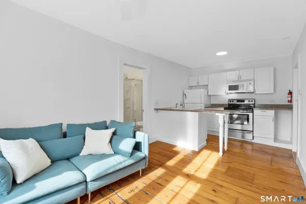 a living room with furniture and a rug