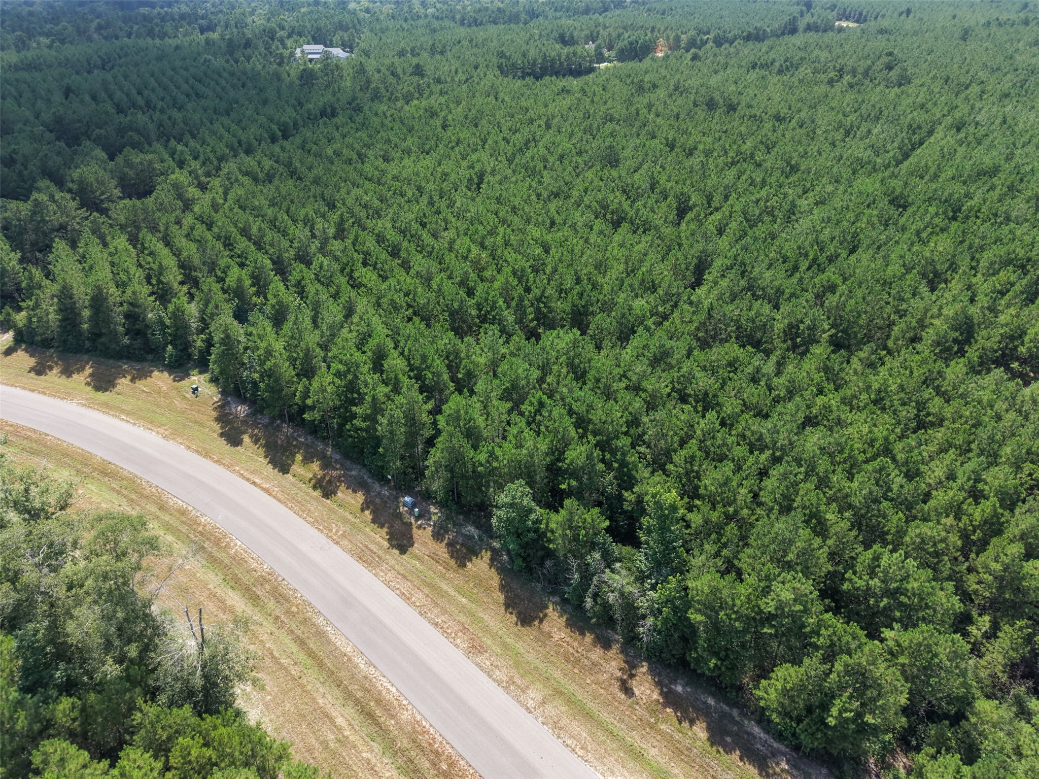 15785 Woodlife Road Willis, TX 77378 - Photo 10 of 12