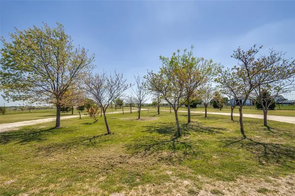 a view of swimming pool with trees