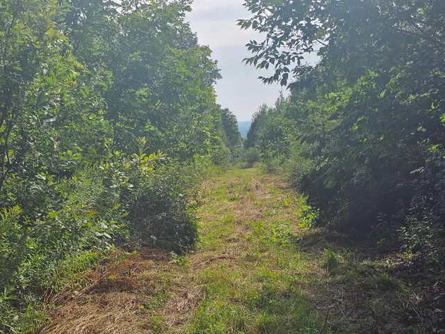 $165,000 | L3-m R-1 Aroostook Scenic Highway, Patten, ME 04765