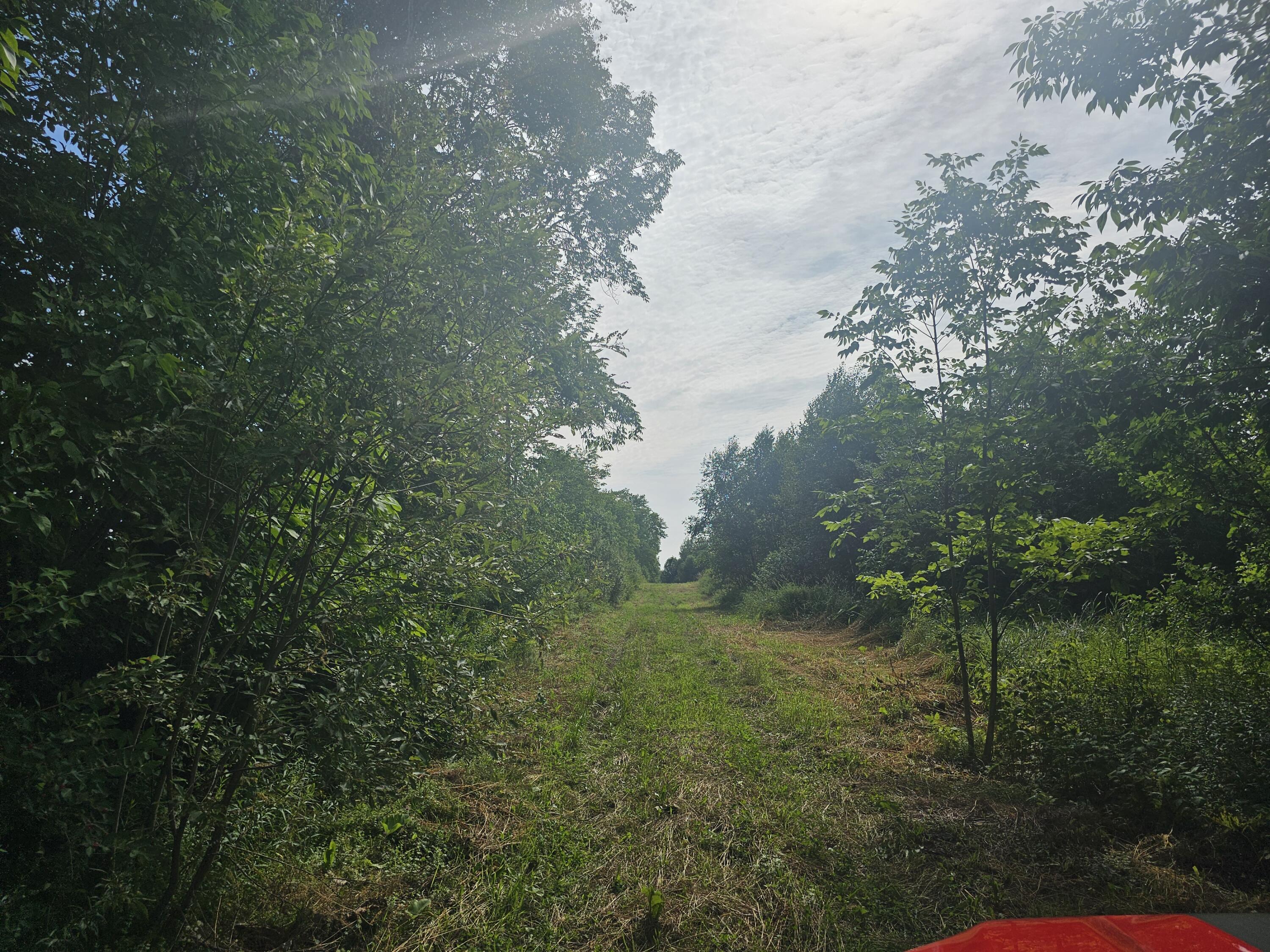 L3-m R-1 Aroostook Scenic Highway Patten, ME 04765 - Photo 2 of 7 20250731_091747