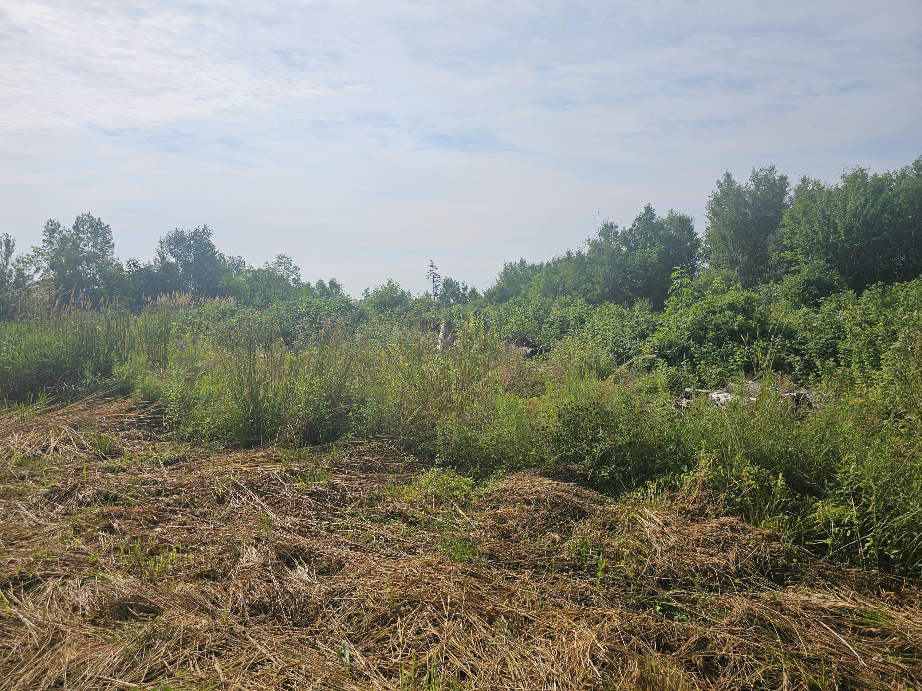 L3-m R-1 Aroostook Scenic Highway Patten, ME 04765 - Photo 4 of 7 20250731_092004