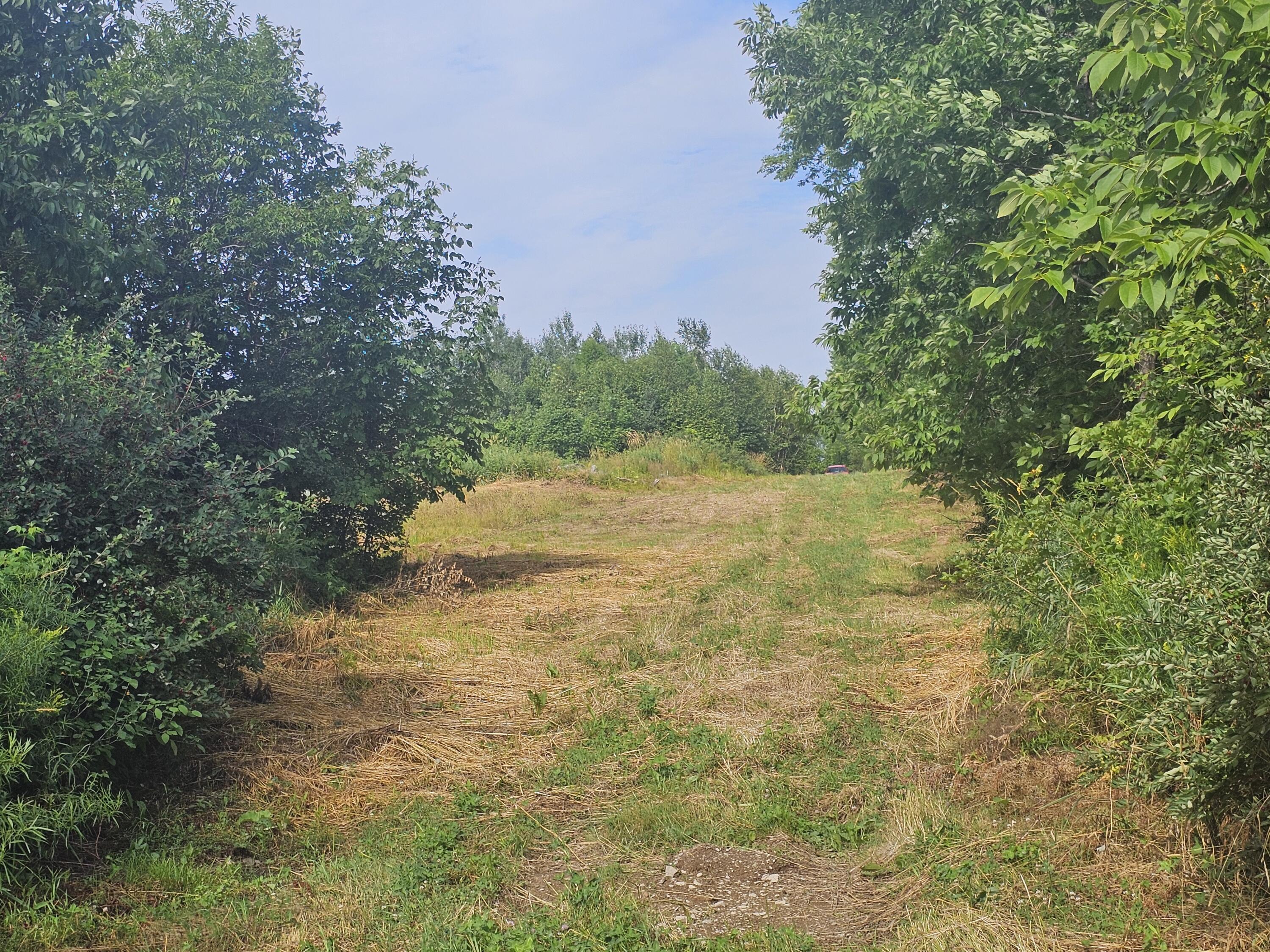 L3-m R-1 Aroostook Scenic Highway Patten, ME 04765 - Photo 7 of 7 20250731_092216