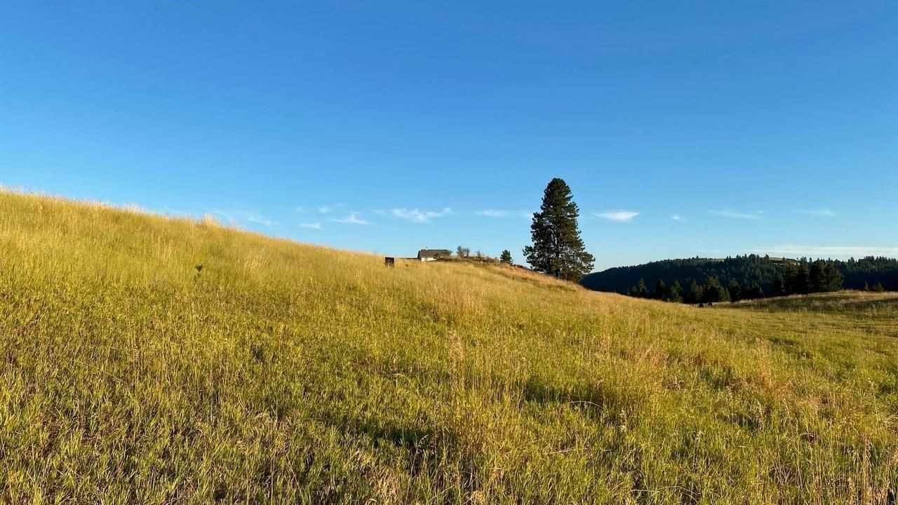 18-xx Brooks Road Evans, WA 99126 - Photo 2 of 19