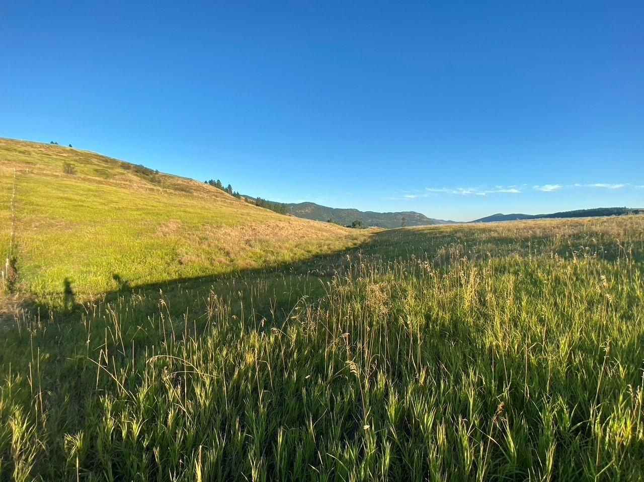 18-xx Brooks Road Evans, WA 99126 - Photo 13 of 19