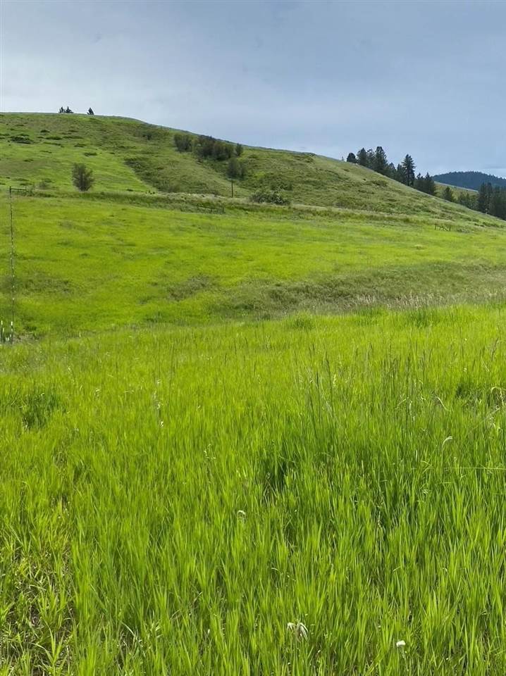 18-xx Brooks Road Evans, WA 99126 - Photo 19 of 19