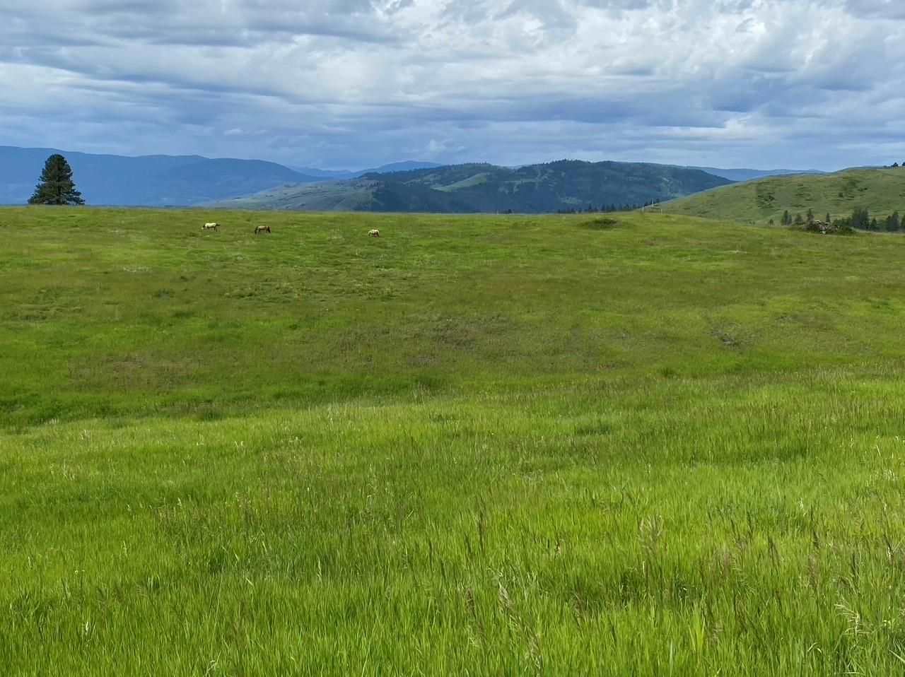 18-xx Brooks Road Evans, WA 99126 - Photo 5 of 19