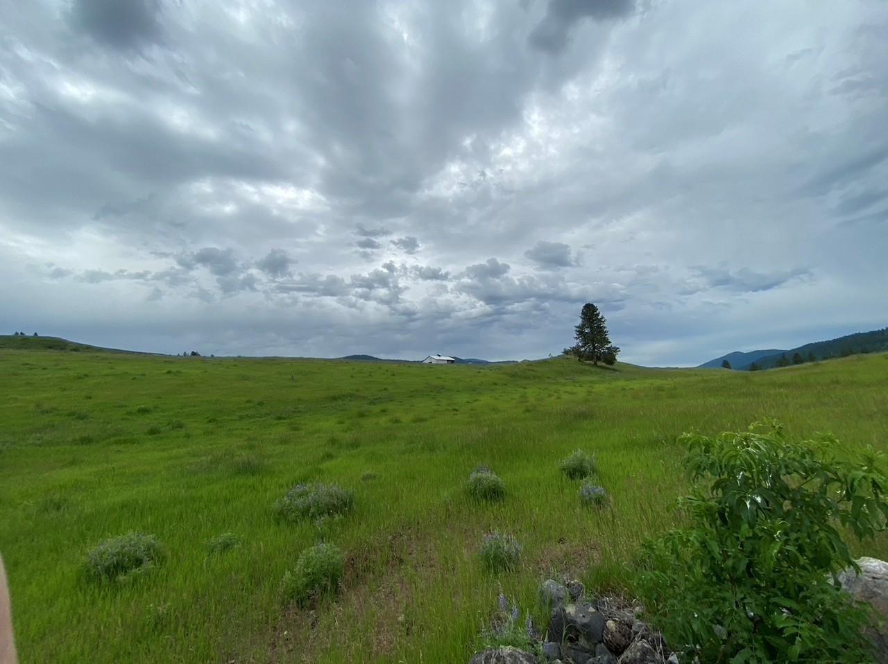 18-xx Brooks Road Evans, WA 99126 - Photo 10 of 19