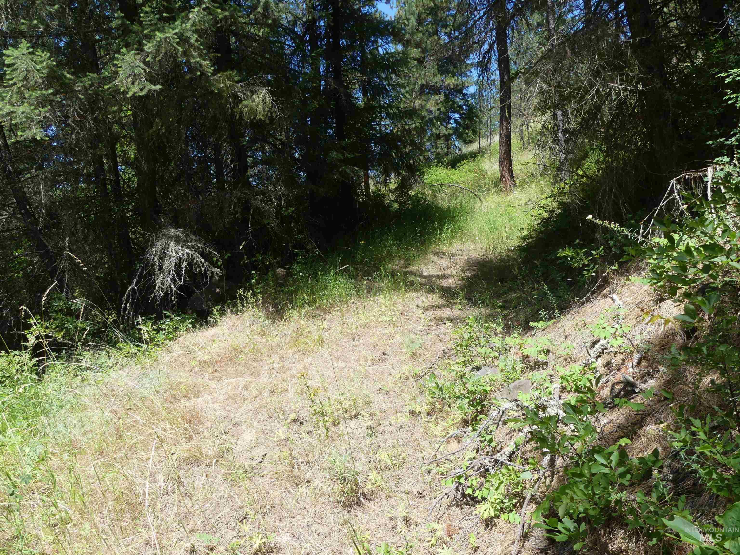 46601 Little Canyon Road Orofino, ID 83544 - Photo 4 of 46