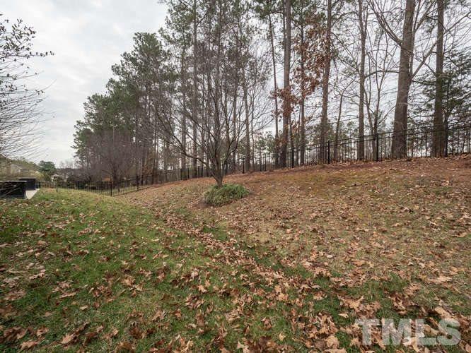 3513 Cathedral Bell Road Raleigh, NC 27614 - Photo 22 of 25