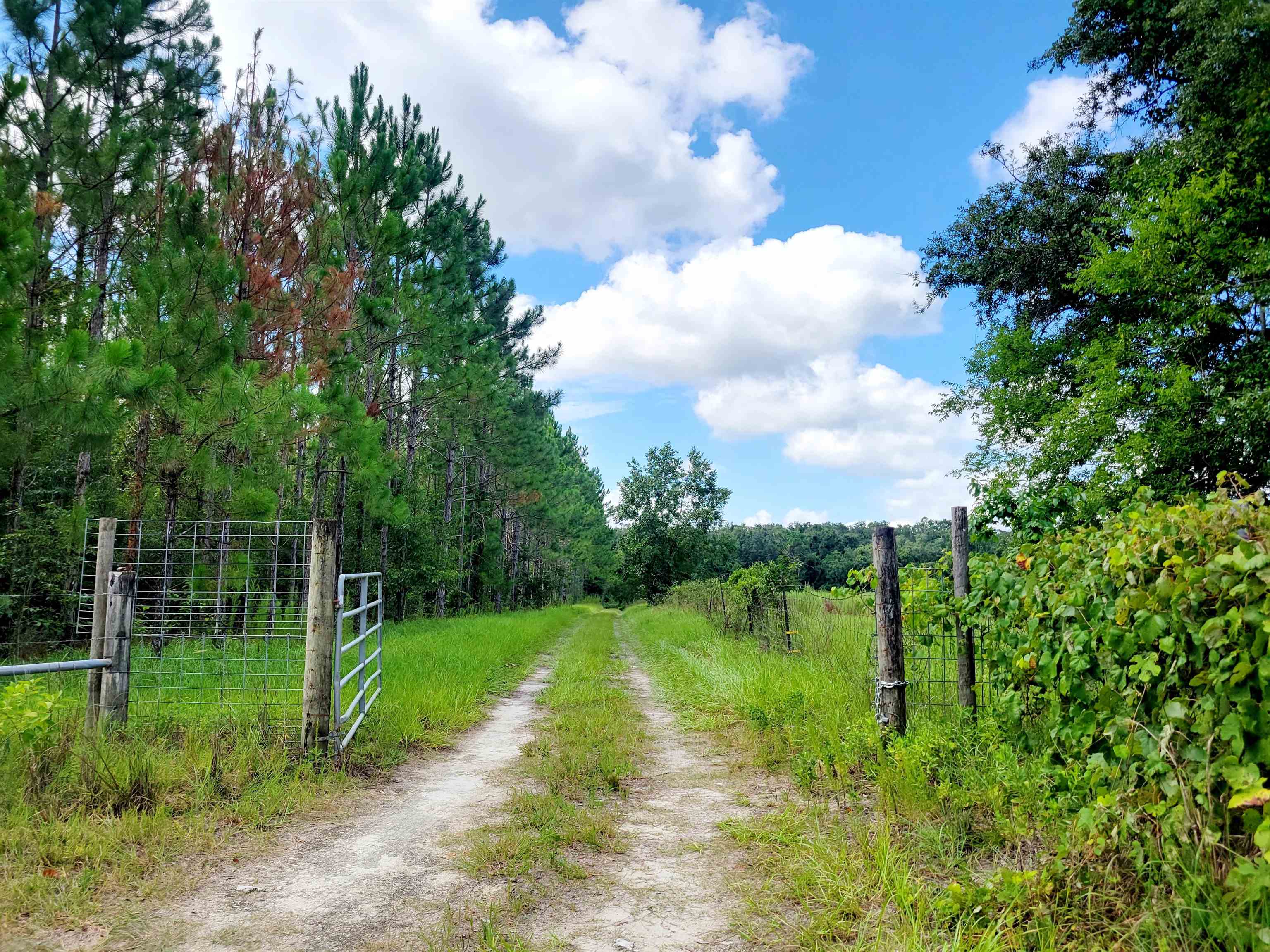 15710 184th Street O'Brien, FL 32071 - Photo 2 of 41