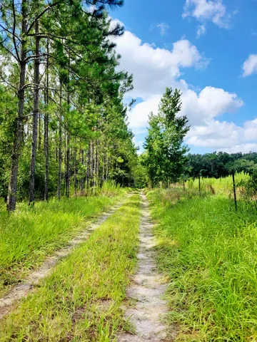 $395,000 | 15710 184th Street, O'Brien, FL 32071